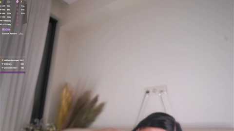 pafosstar free recording from 2024-11-14 22:01:00