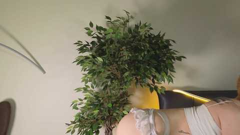 welldone_ free recording from 2024-11-14 11:11:00