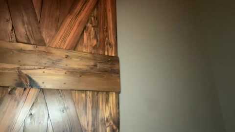 bipapiinches8 free recording from 2024-11-15 19:52:00