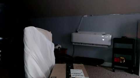 prettybabyboi free recording from 2024-11-15 16:31:00