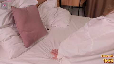 enncandy free recording from 2024-11-17 21:51:00