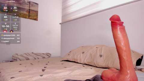 itsbellax free recording from 2024-11-18 14:11:00