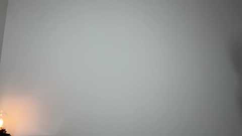 julia_rle free recording from 2024-11-18 18:59:00