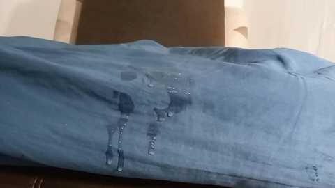 alotofcream free recording from 2024-11-19 06:52:00