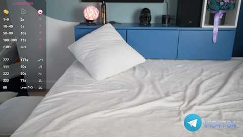 vika54784 free recording from 2024-11-19 10:33:00