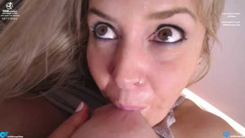 wildtequilla free recording from 