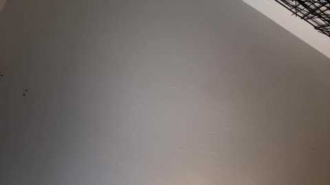 401boy free recording from 