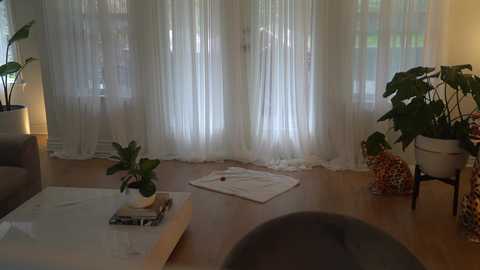 lace___ free recording from 2024-11-20 21:24:00