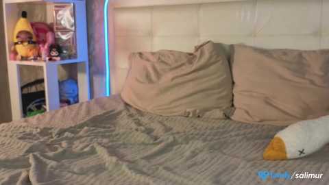 salimurr free recording from 