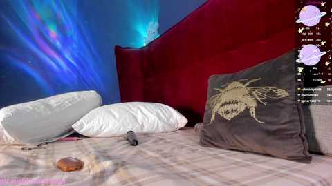 honey_pinkgreen free recording from 2024-11-21 12:21:00