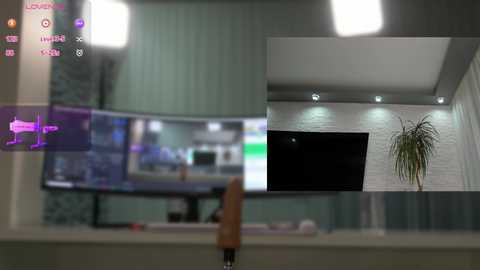 haileygrx free recording from 2024-11-23 14:31:00