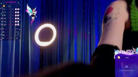 zelda_1 free recording from 2024-11-23 15:15:00