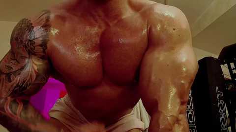 adonis_msc free recording from 2024-11-24 04:47:00