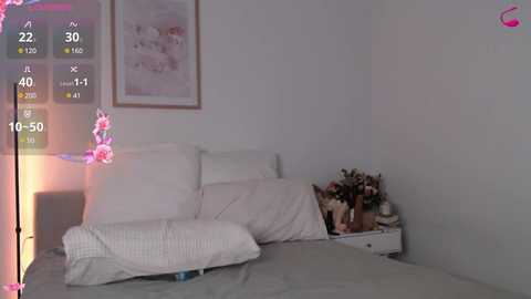 wasianbby free recording from 2024-11-24 09:13:00