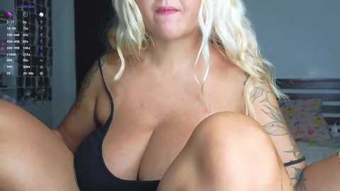 _morpho_ free recording from 2024-11-25 10:08:00