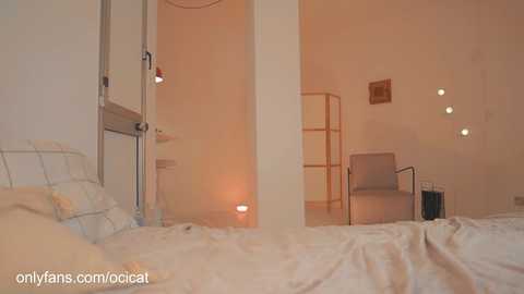 ocicat free recording from 2024-11-25 01:53:00