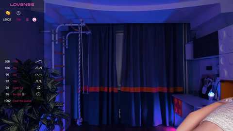 drutywerri free recording from 2024-11-26 07:26:00