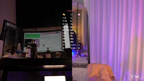 lau__1 free recording from 2024-11-26 06:09:00