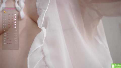 _vi_vi_ free recording from 2024-11-27 08:44:00