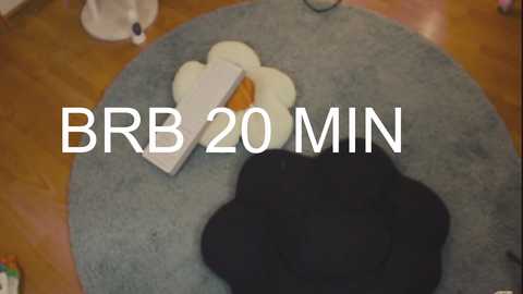 chery_lady22 free recording from 2024-11-27 12:24:00