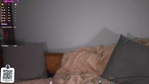 judycarr free recording from 2024-11-27 13:27:00