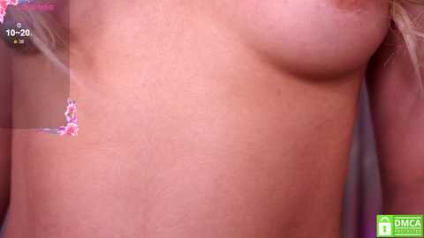 loney__tunes free recording from 