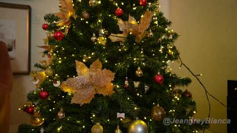 jeangreybianca free recording from 2024-11-28 22:13:00