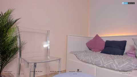 ssshameless free recording from 2024-11-28 04:49:00