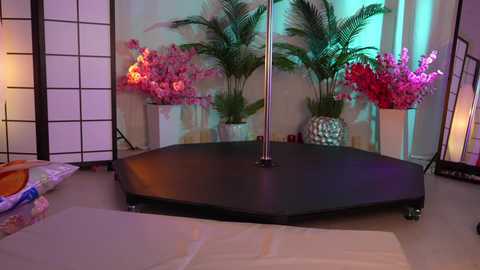 kittycaitlin free recording from 2024-11-29 01:36:00