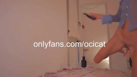 ocicat free recording from 2024-11-30 05:01:00