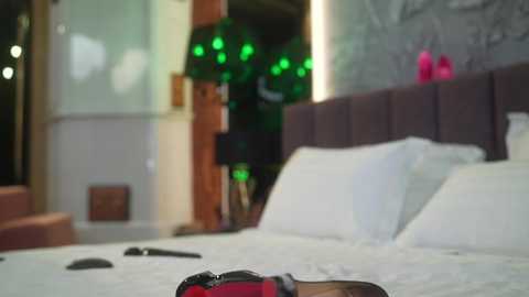 eva_fashionista free recording from 2024-12-01 07:48:00