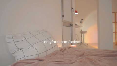 ocicat free recording from 2024-12-01 04:25:00
