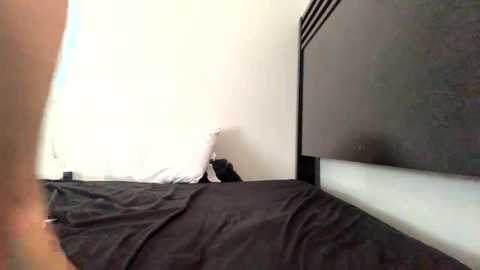 awwdi1 free recording from 2024-12-03 18:45:00