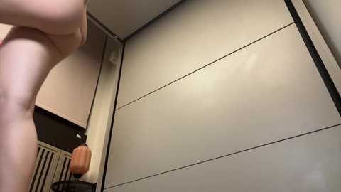 faseremx free recording from 2024-12-03 04:30:00