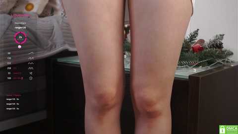 _vi_vi_ free recording from 2024-12-04 11:46:00