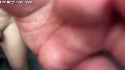 alissgrey free recording from 2024-12-04 09:46:00