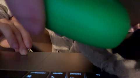 chellybear101 free recording from 2024-12-04 23:34:00