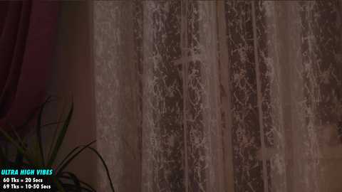 sweety_rinushka_ free recording from 2024-12-04 19:02:00