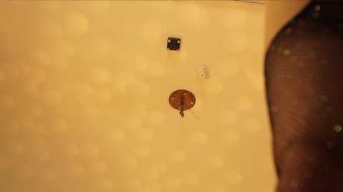 _meganmeow_ free recording from 