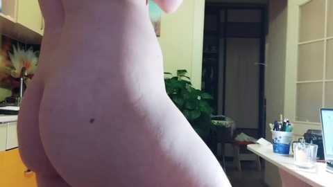 thickforest free recording from 2024-12-05 15:05:00