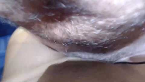 buddiup2 free recording from 2024-12-07 17:17:00