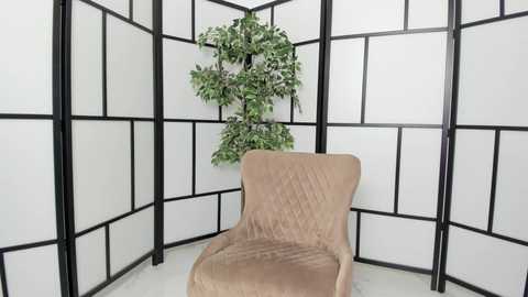 fetish_life free recording from 2024-12-07 17:34:00