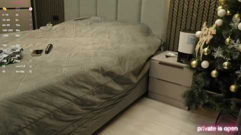 angel_luisa free recording from 2024-12-08 16:32:00