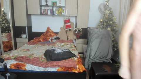 zincky free recording from 2024-12-08 22:46:00