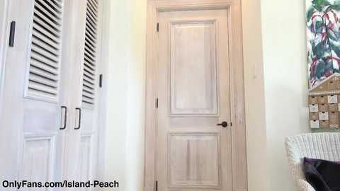 island_peach free recording from 2024-12-11 13:09:00