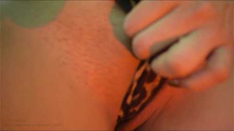 jovanna_smith free recording from 2024-12-12 00:53:00