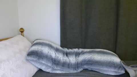 kissallie free recording from 2024-12-13 05:34:00