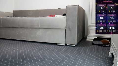 carmela_fox free recording from 2024-12-14 15:18:00