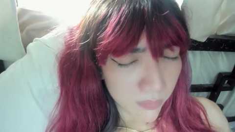 xdreamangel free recording from 2024-12-15 07:34:00