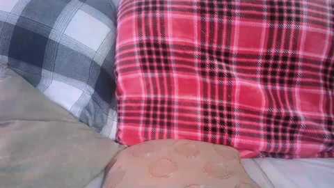 bigdicktrannynicole free recording from 2024-12-17 22:26:00